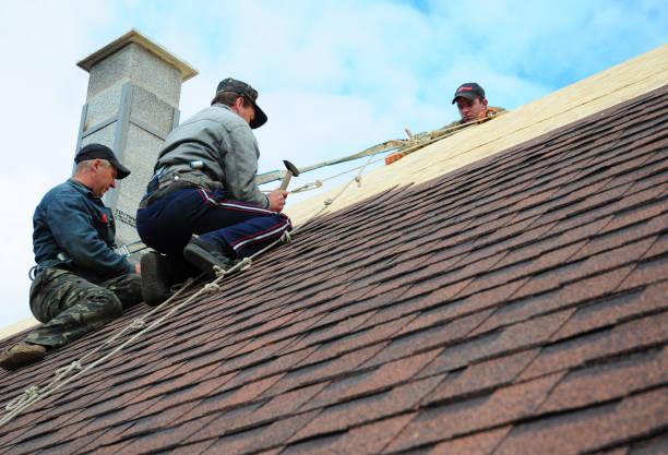 Quick and Trustworthy Emergency Roof Repair Services in South Willard, UT